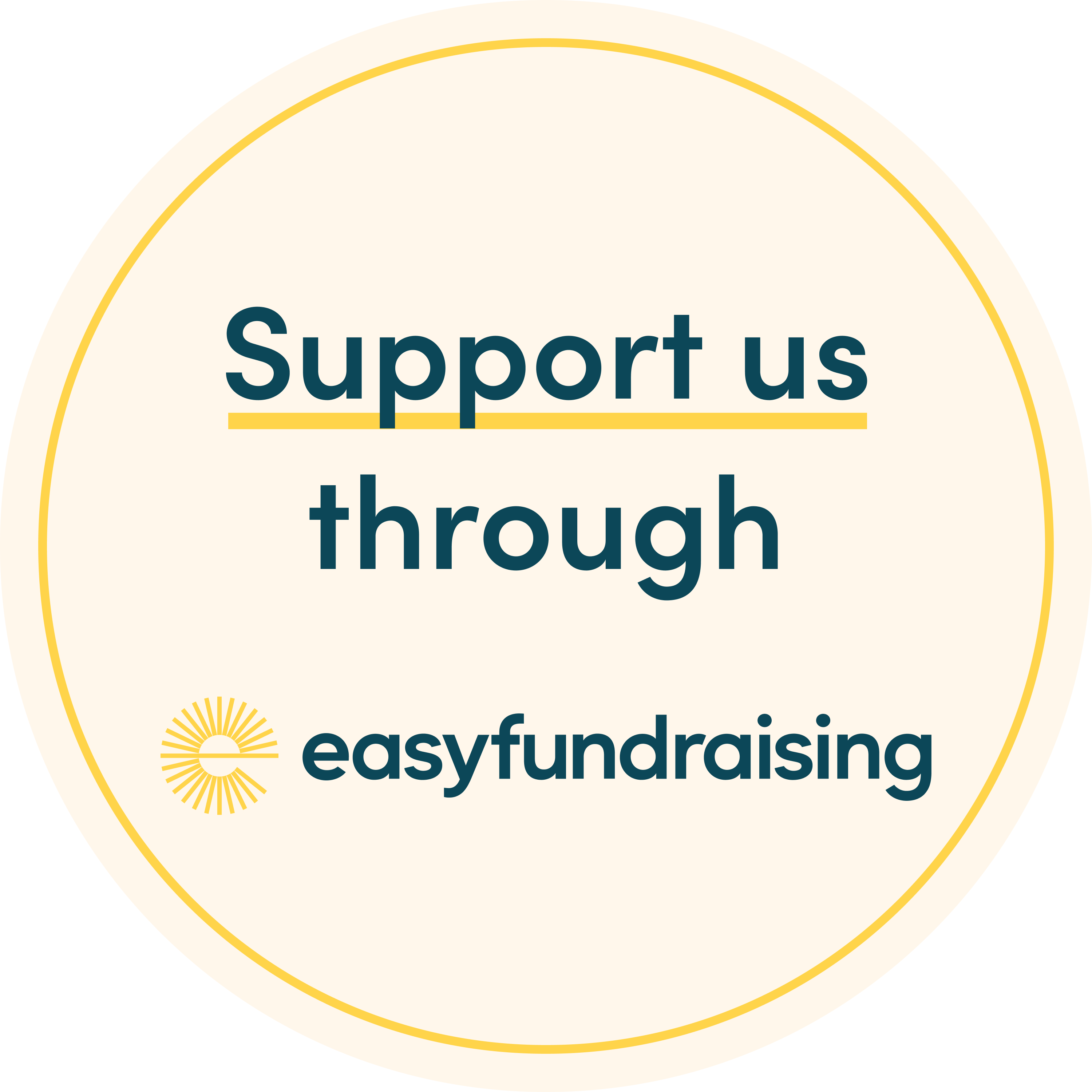 Easyfundraising-websitesticker